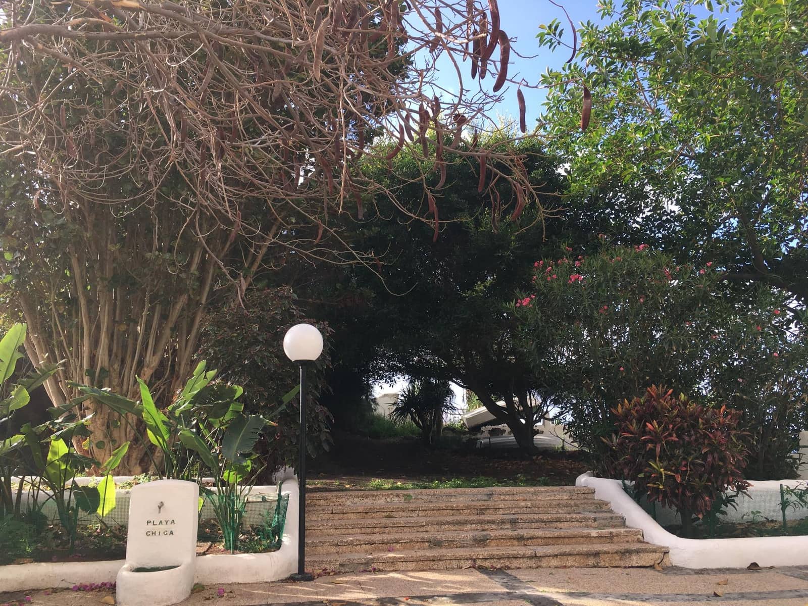 1 chambre Appartement à vendre à Santa Cruz de Tenerife - 230 000 € (Ref: 9860254)