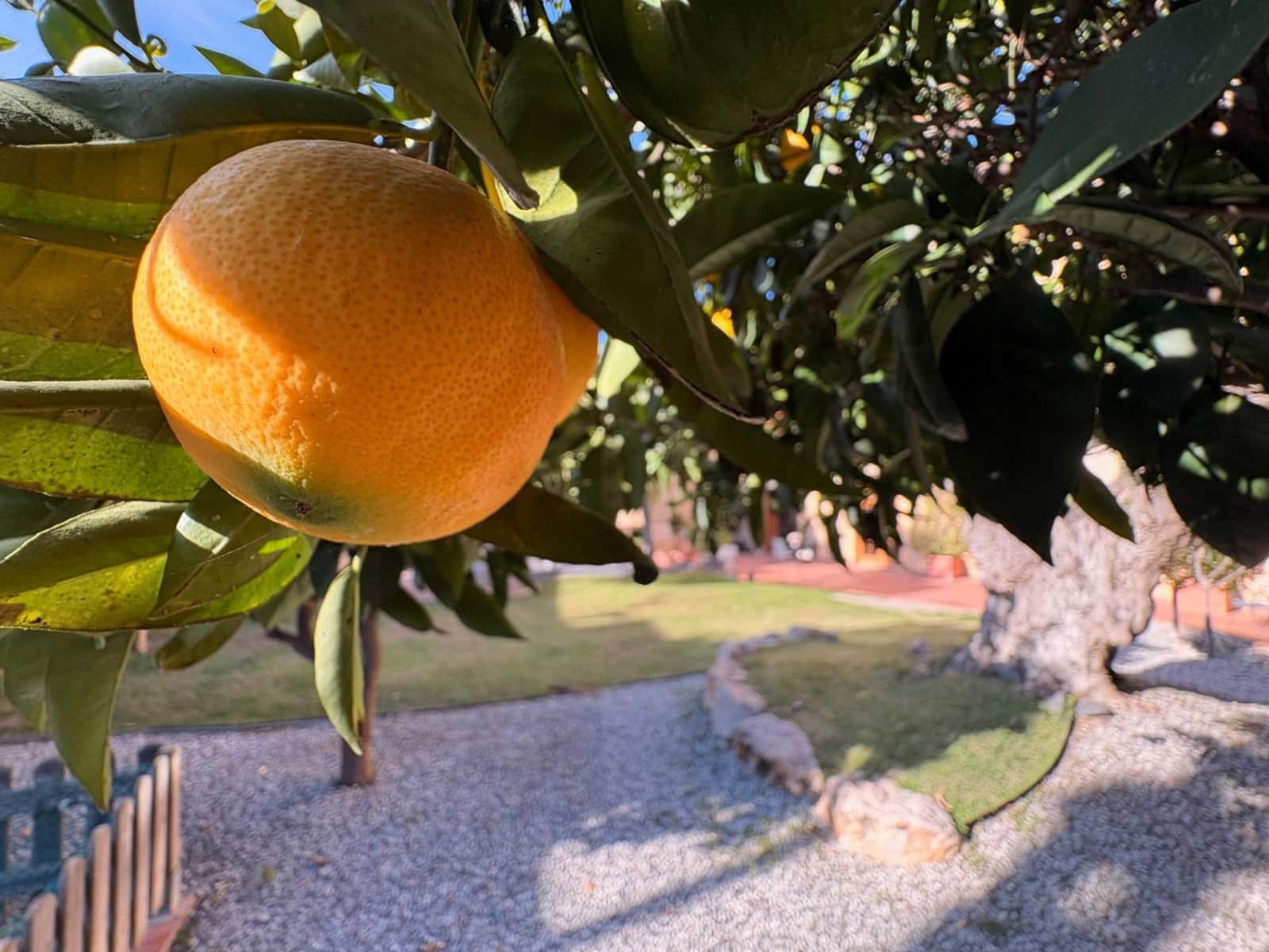 4 soveværelse Finca/Landehus til salg i Teia - € 2.180.000 (Ref: 9414210)