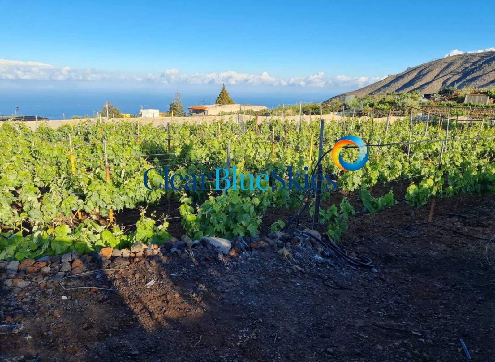 1 soverom Finca/Herregård til salgs i Vera de Erques med garasje - € 315 000 (Ref: 6971189)