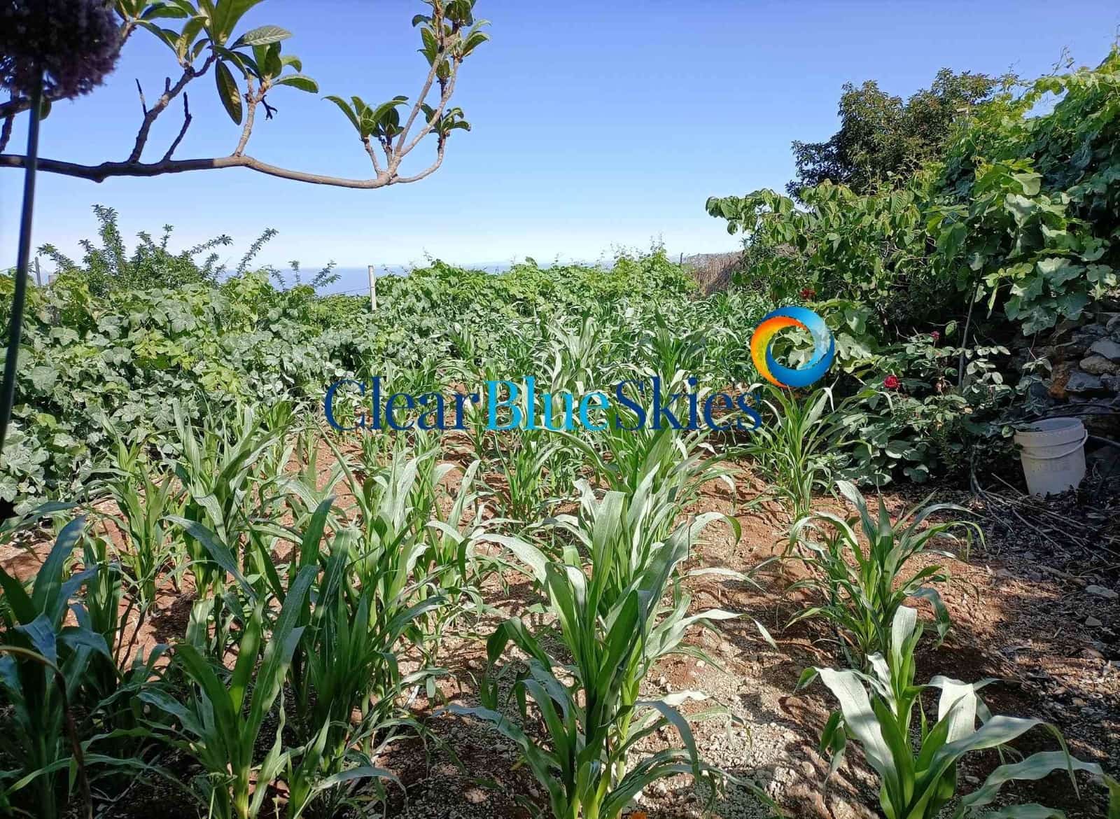 1 soverom Finca/Herregård til salgs i Vera de Erques med garasje - € 315 000 (Ref: 6971189)