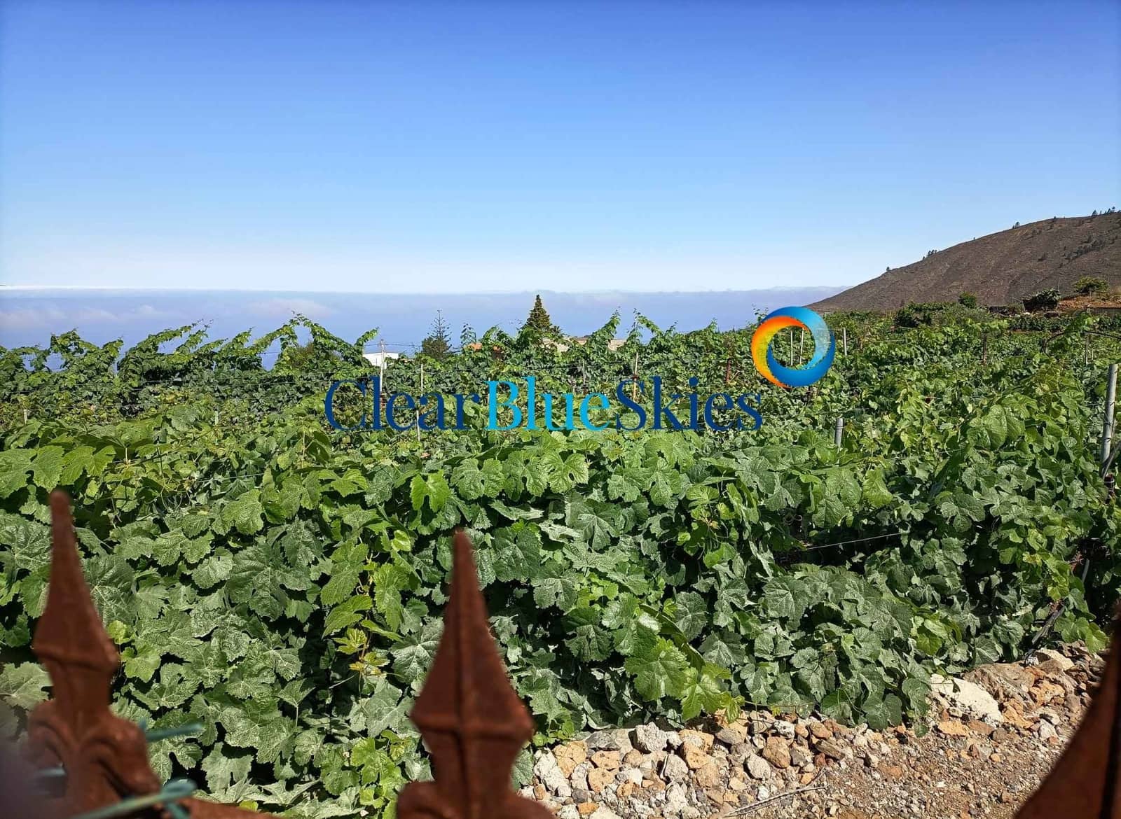 1 soverom Finca/Herregård til salgs i Vera de Erques med garasje - € 315 000 (Ref: 6971189)