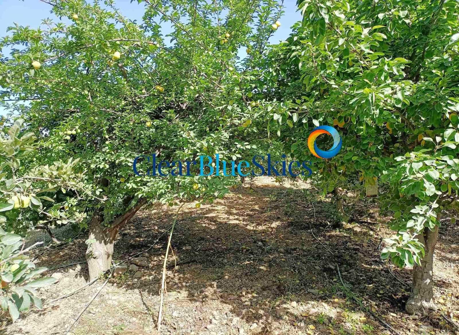 1 soverom Finca/Herregård til salgs i Vera de Erques med garasje - € 315 000 (Ref: 6971189)