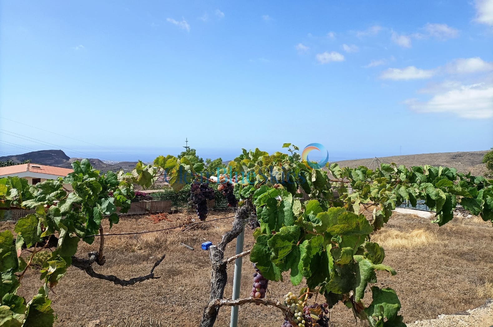 4 soveværelse Finca/Landehus til salg i Aldea Blanca (Tenerife) med swimmingpool garage - € 600.000 (Ref: 7733419)