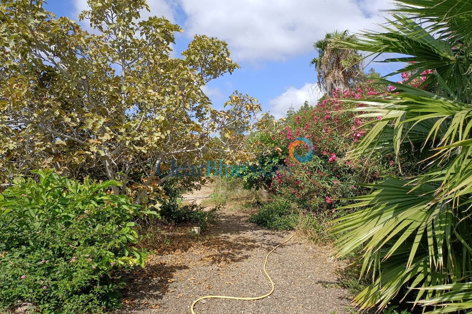 4 soveværelse Finca/Landehus til salg i Aldea Blanca (Tenerife) med swimmingpool garage - € 600.000 (Ref: 7733419)