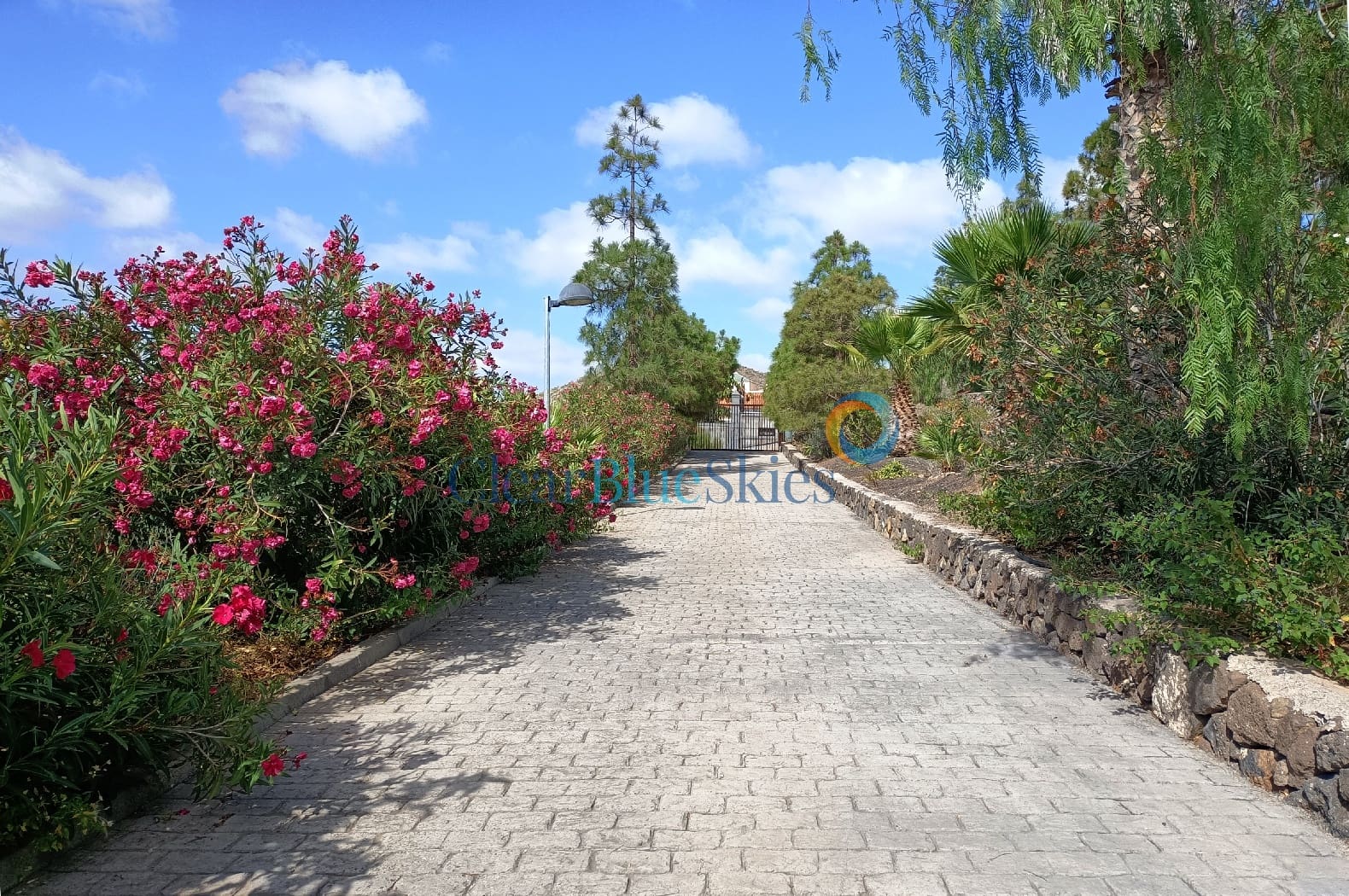 4 soveværelse Finca/Landehus til salg i Aldea Blanca (Tenerife) med swimmingpool garage - € 600.000 (Ref: 7733419)