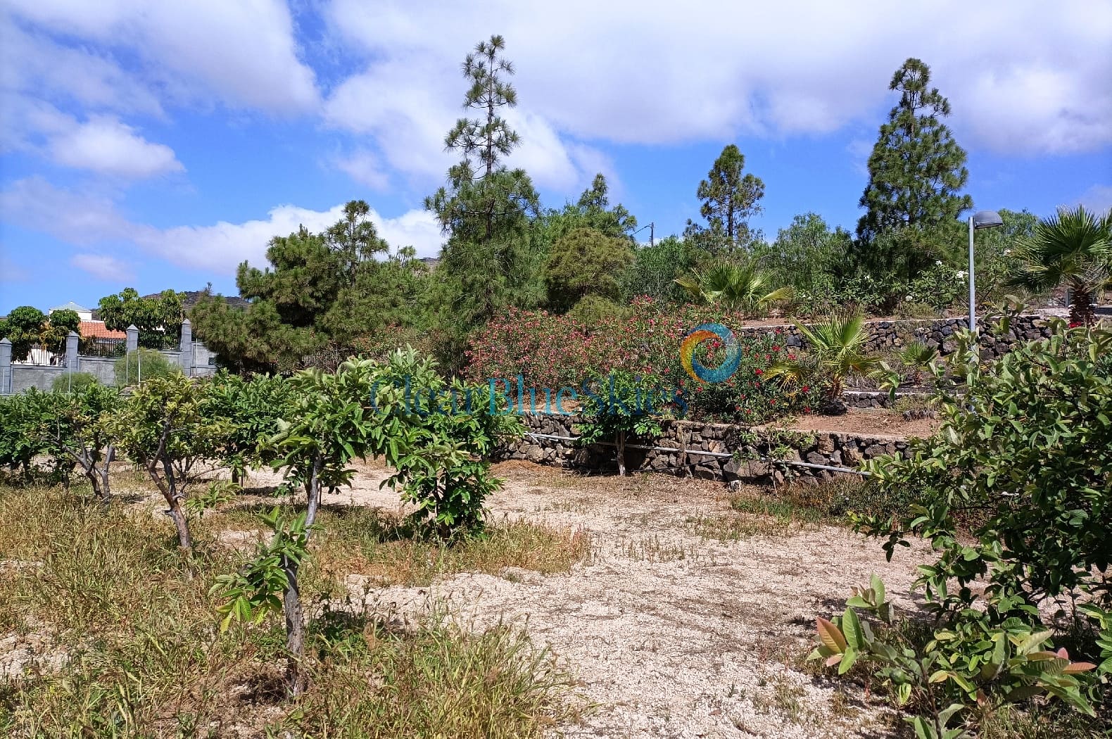 4 soveværelse Finca/Landehus til salg i Aldea Blanca (Tenerife) med swimmingpool garage - € 600.000 (Ref: 7733419)