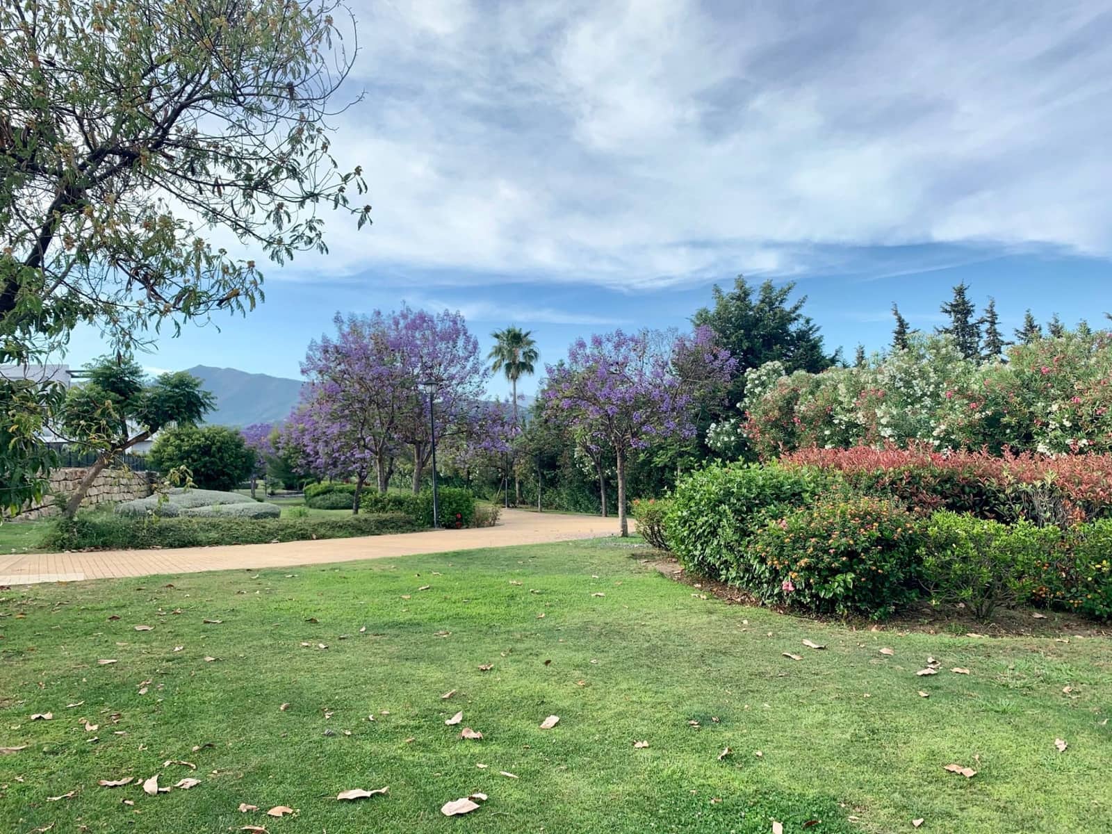 2 bedroom Apartment for sale in Atalaya-Isdabe with pool garage - € 670,000 (Ref: 9738375)