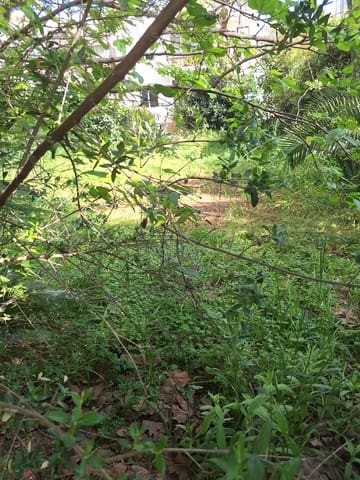 Działka budowlana na sprzedaż w Marbella - 1 280 000 € (Ref: 9859674)