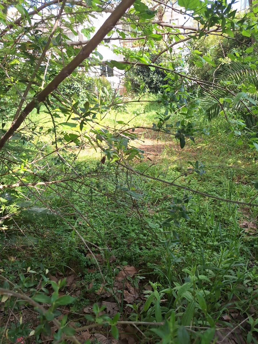 Building Plot for sale in Marbella - € 1,280,000 (Ref: 9859674)