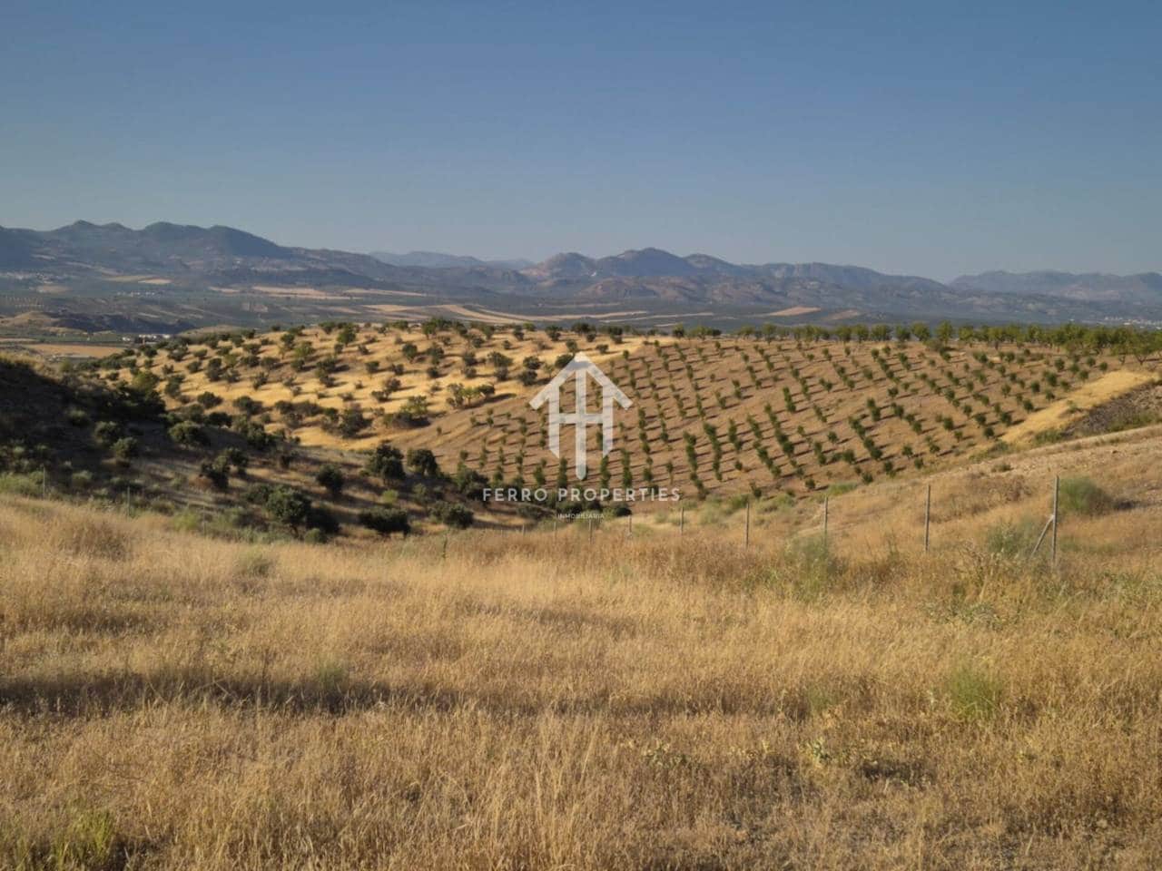 Terreno/Finca Rústica en Moraleda de Zafayona en venta - 23.500 € (Ref: 9152553)