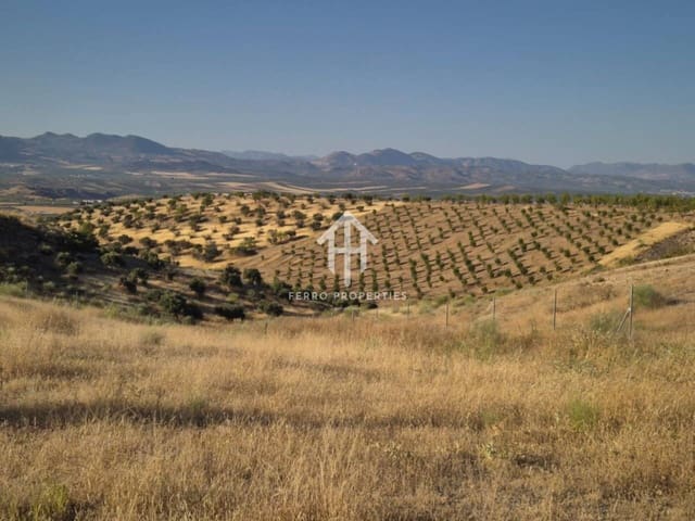 Terreno/Finca Rústica en Moraleda de Zafayona en venta - 23.500 € (Ref: 9152553)