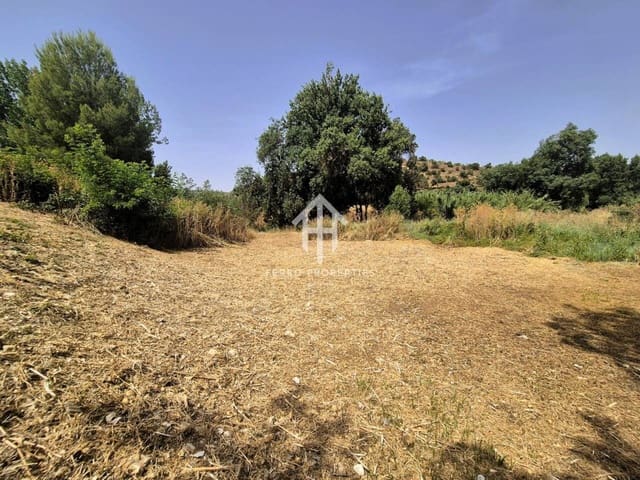 Building Plot for sale in Riofrío, Loja - € 29,500 (Ref: 9152554)