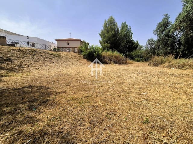 Building Plot for sale in Riofrío, Loja - € 29,500 (Ref: 9152554)