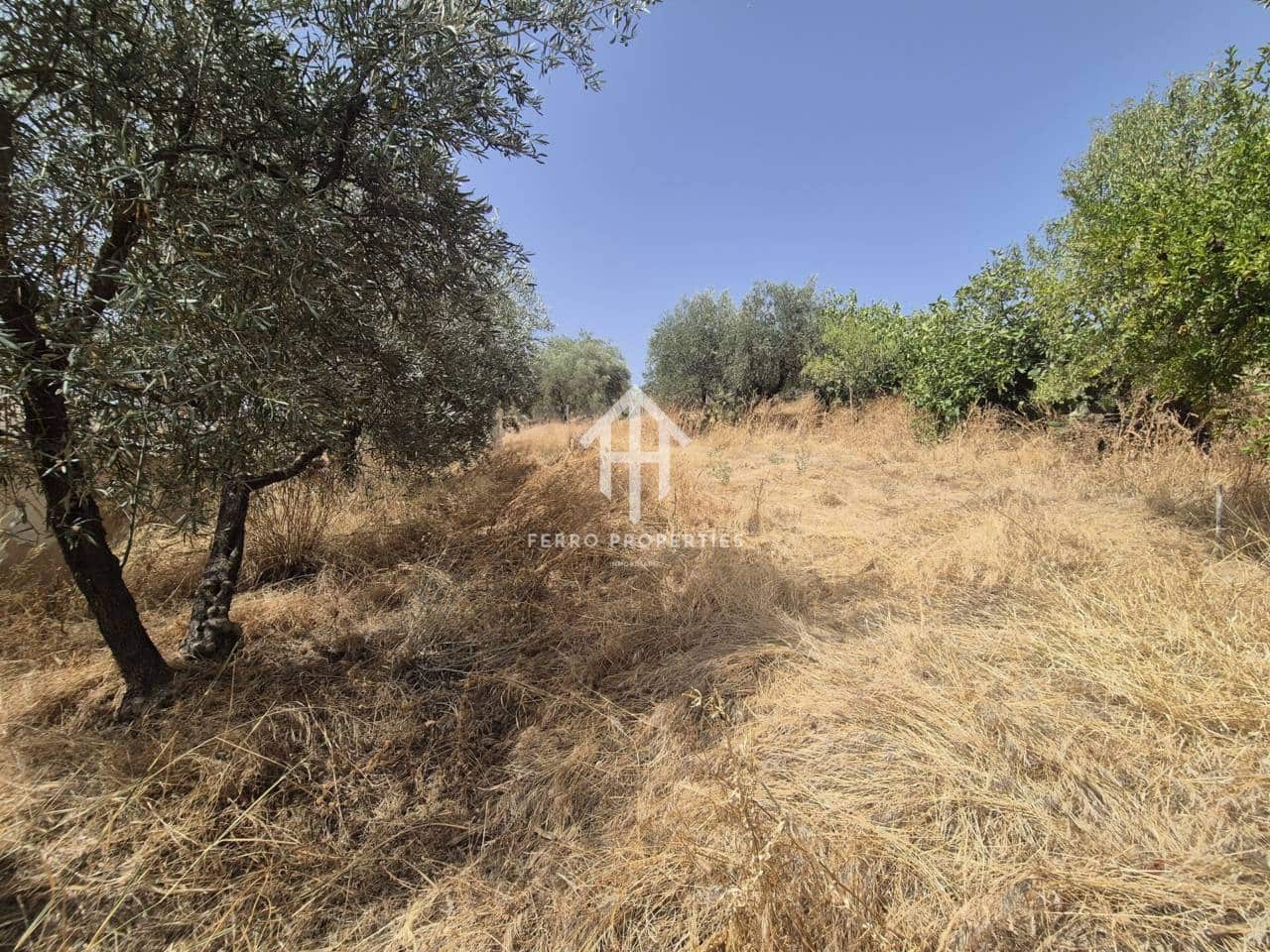 Ruin til salg i Loja - € 26.500 (Ref: 9152574)