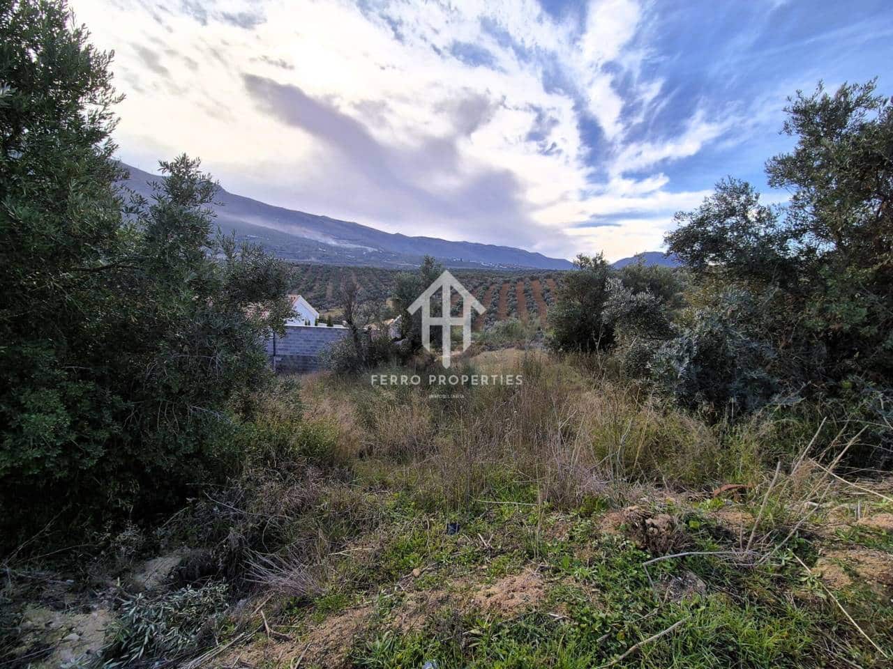 Area Edificabile in vendita in Riofrio - 26.700 € (Rif: 9152577)