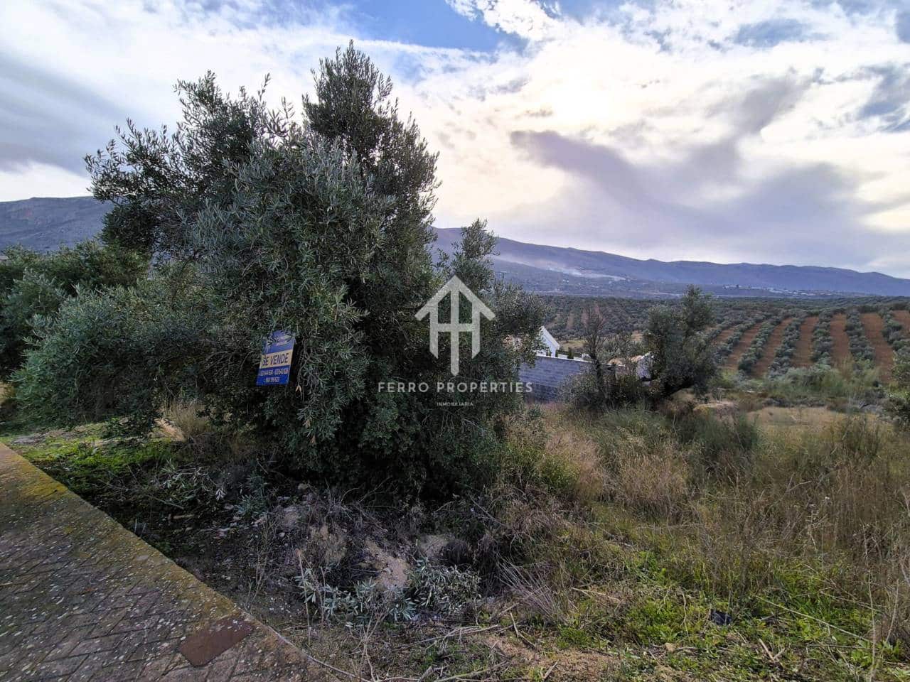 Area Edificabile in vendita in Riofrio - 26.700 € (Rif: 9152577)