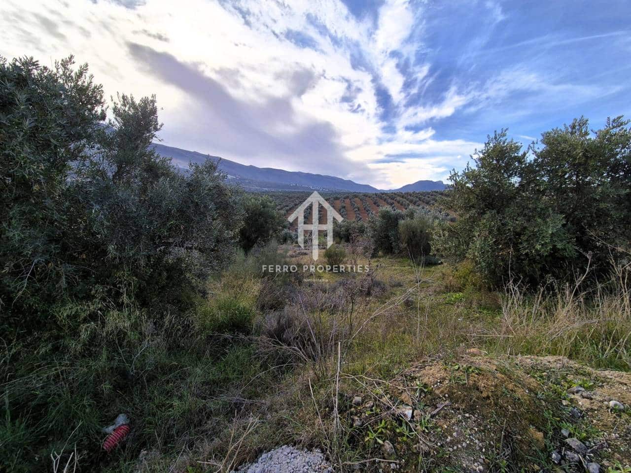 Area Edificabile in vendita in Riofrio - 26.700 € (Rif: 9152577)