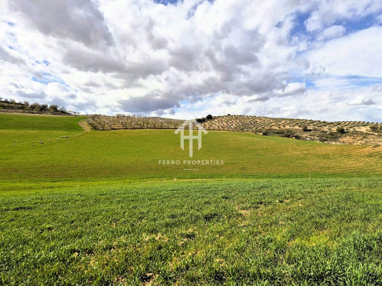 Finca/Landehus til salg i Castillo Tajarja - € 4.200.000 (Ref: 9152578)