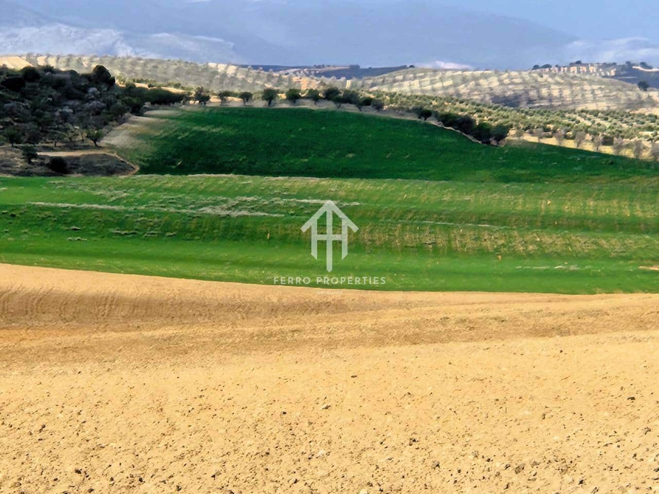 Finca/Landehus til salg i Castillo Tajarja - € 4.200.000 (Ref: 9152578)