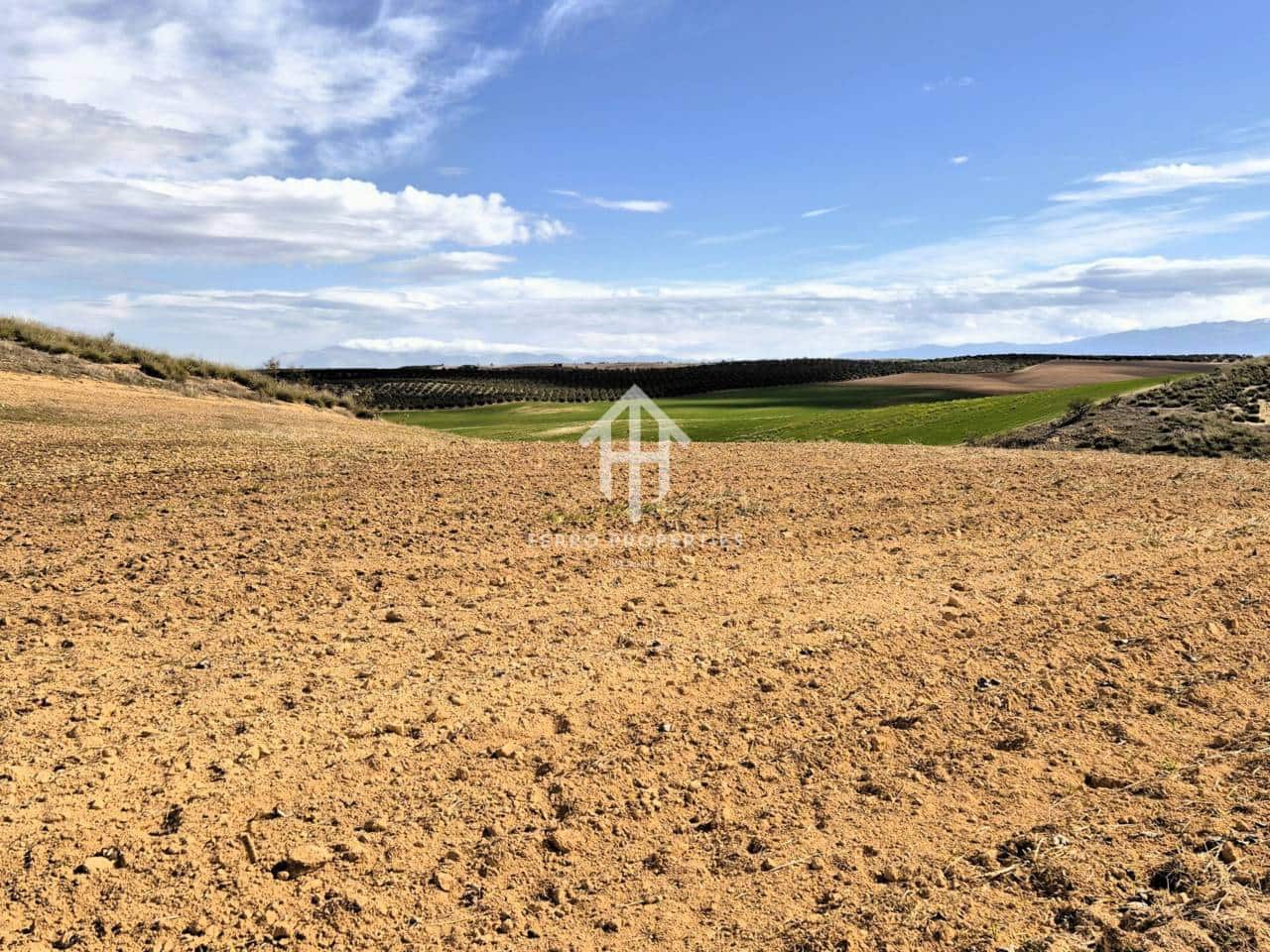 Finca/Landehus til salg i Castillo Tajarja - € 4.200.000 (Ref: 9152578)