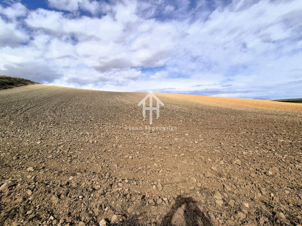 Finca/Landehus til salg i Castillo Tajarja - € 4.200.000 (Ref: 9152578)