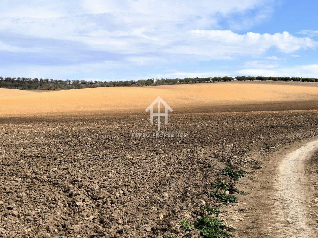 Finca/Landehus til salg i Castillo Tajarja - € 4.200.000 (Ref: 9152578)