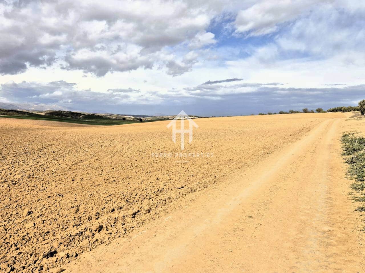 Finca/Landehus til salg i Castillo Tajarja - € 4.200.000 (Ref: 9152578)