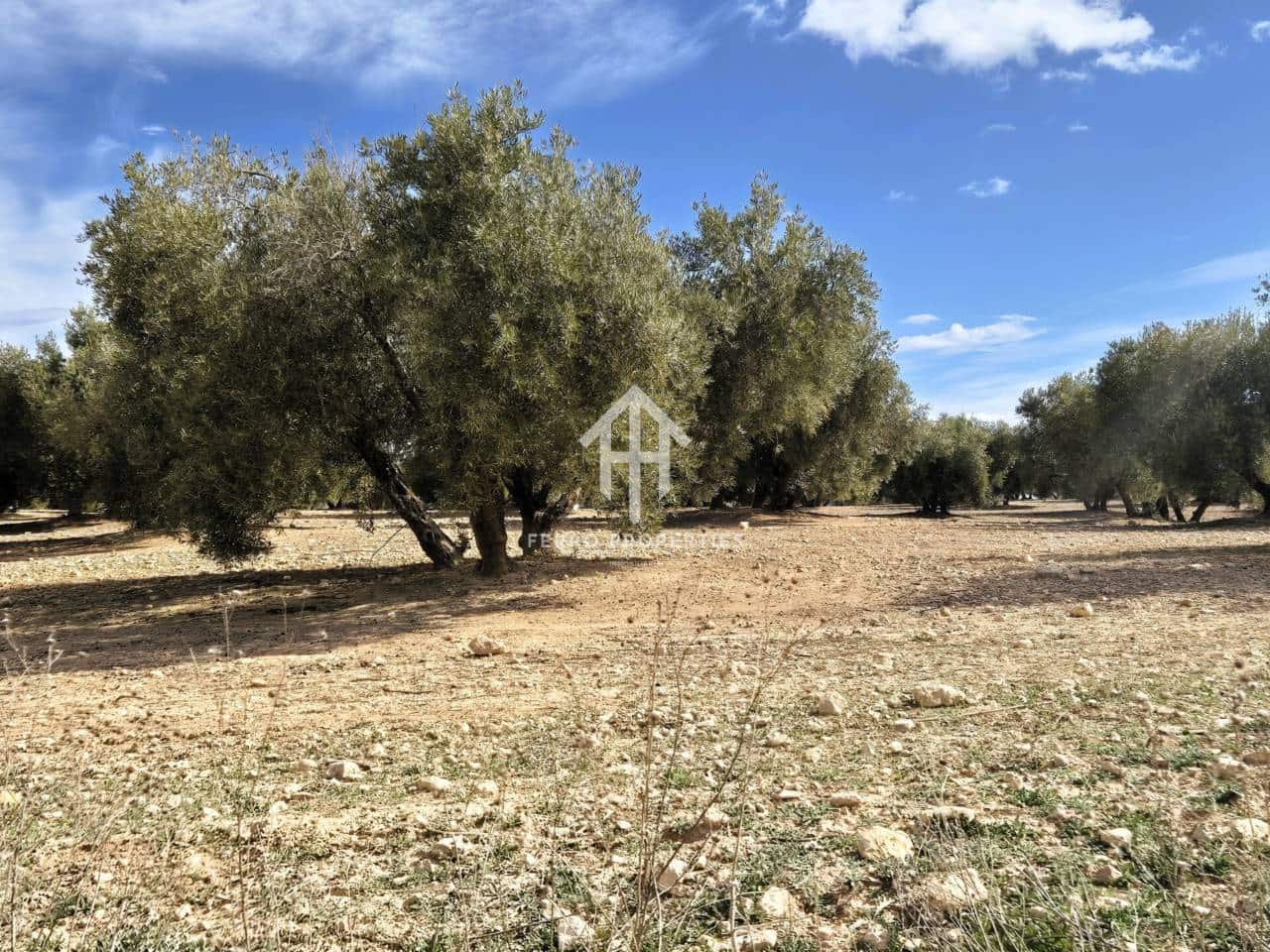 Finca/Landehus til salg i Castillo Tajarja - € 4.200.000 (Ref: 9152578)