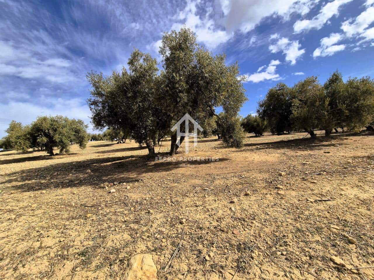 Finca/Landehus til salg i Castillo Tajarja - € 4.200.000 (Ref: 9152578)