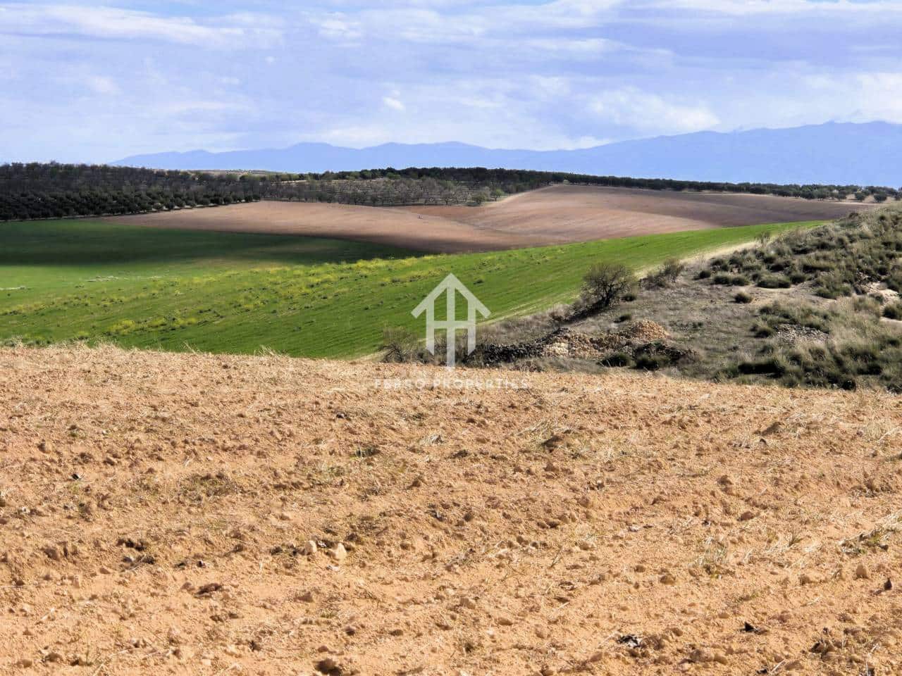 Finca/Landehus til salg i Castillo Tajarja - € 4.200.000 (Ref: 9152578)