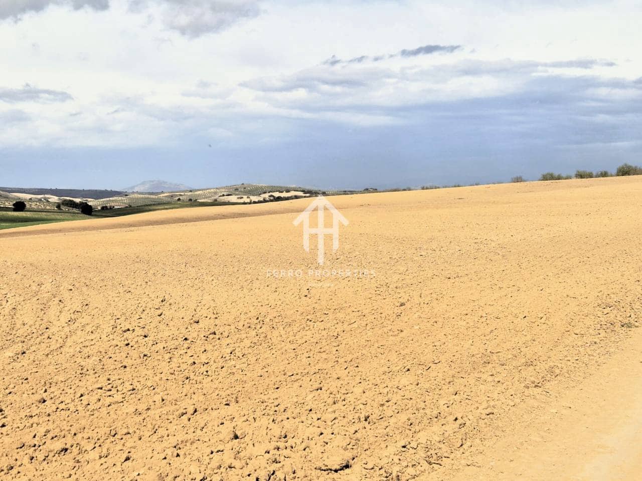 Finca/Landehus til salg i Castillo Tajarja - € 4.200.000 (Ref: 9152578)