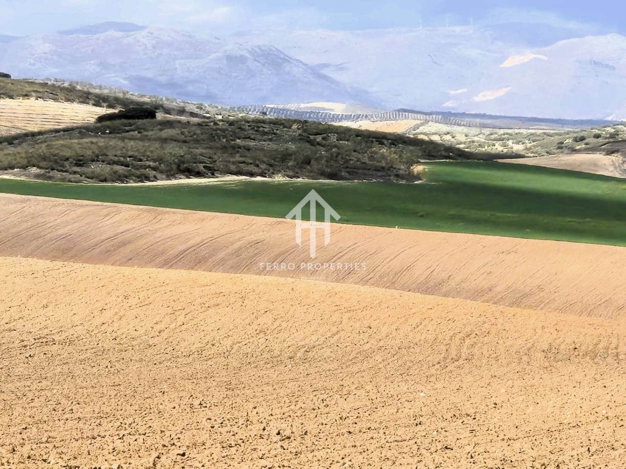 Finca/Landehus til salg i Castillo Tajarja - € 4.200.000 (Ref: 9152578)