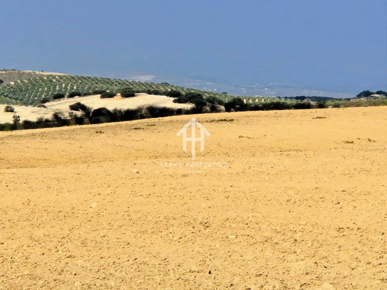 Finca/Landehus til salg i Castillo Tajarja - € 4.200.000 (Ref: 9152578)