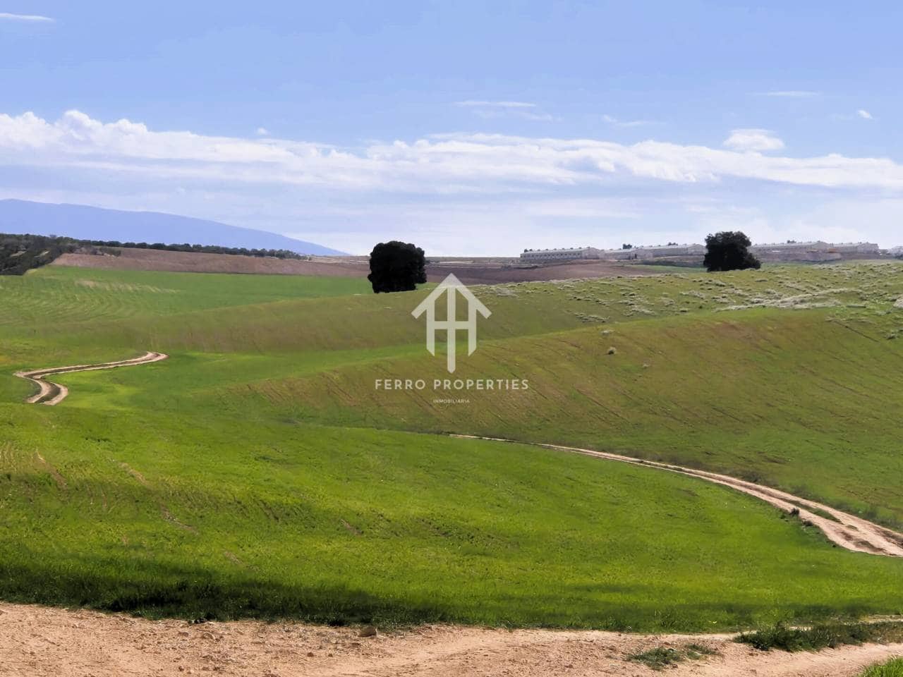 Finca/Landehus til salg i Castillo Tajarja - € 4.200.000 (Ref: 9152578)