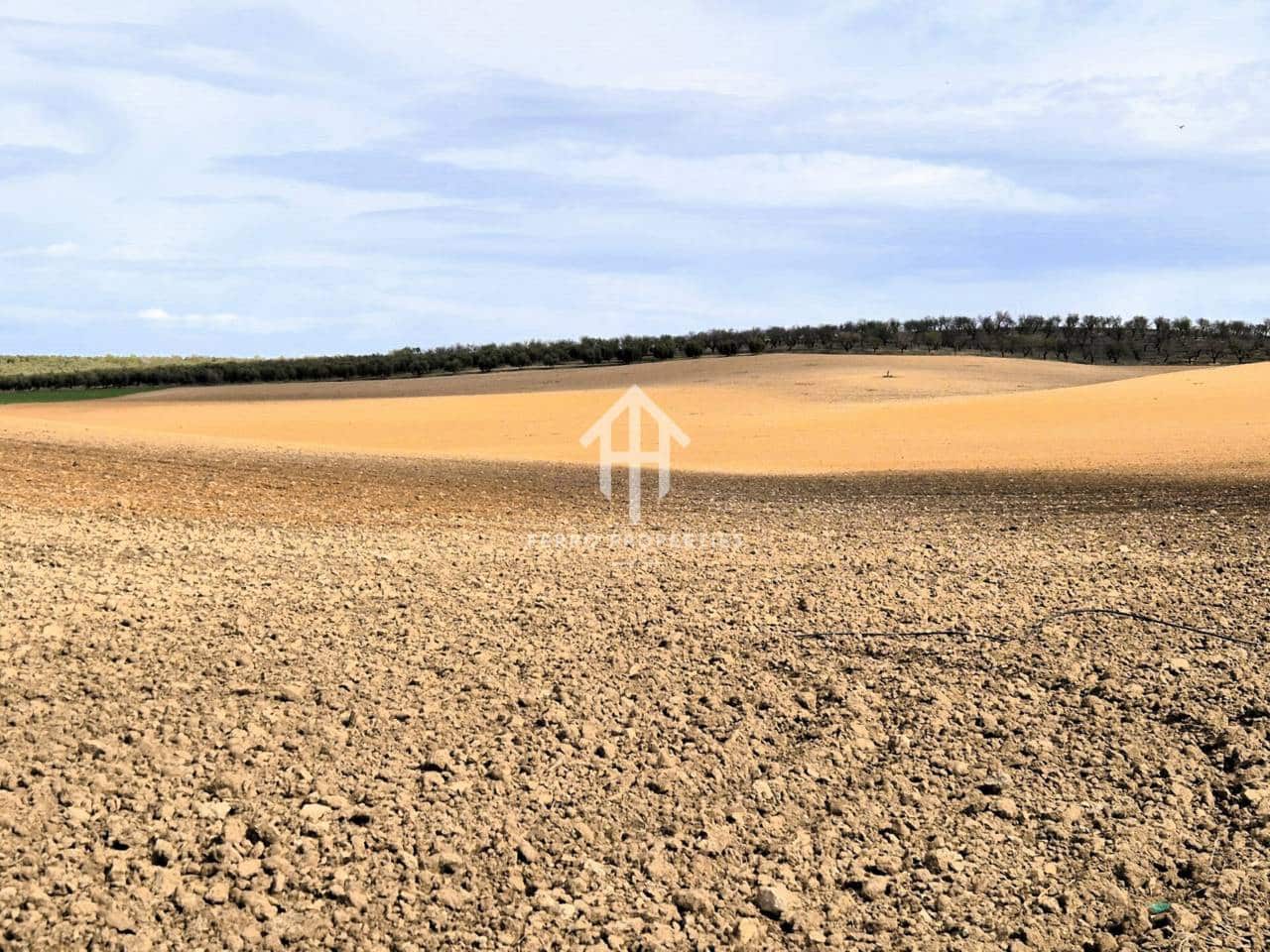 Finca/Landehus til salg i Castillo Tajarja - € 4.200.000 (Ref: 9152578)