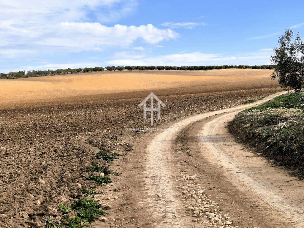 Finca/Landehus til salg i Castillo Tajarja - € 4.200.000 (Ref: 9152578)