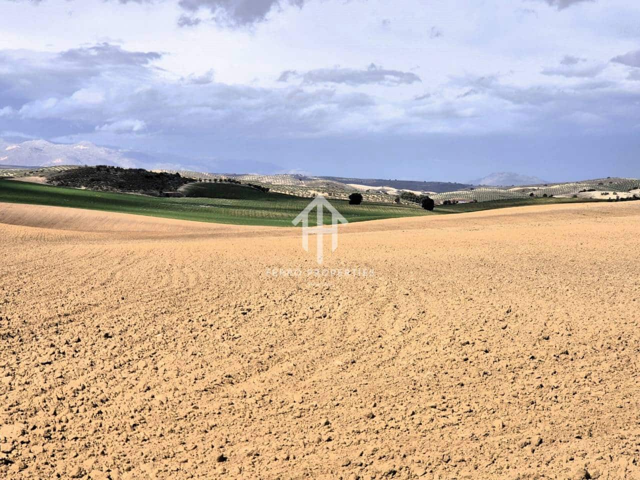 Finca/Landehus til salg i Castillo Tajarja - € 4.200.000 (Ref: 9152578)