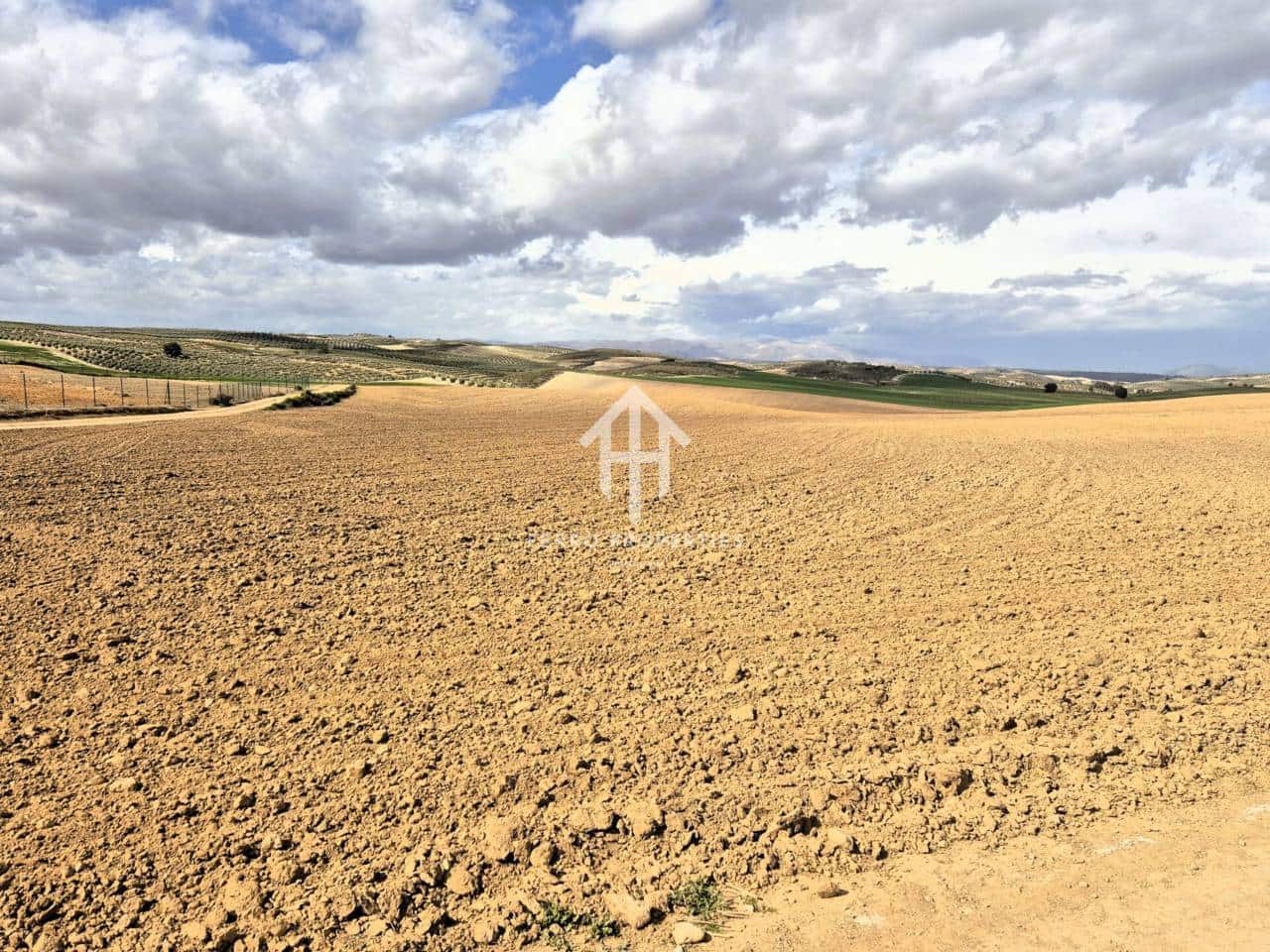 Finca/Landehus til salg i Castillo Tajarja - € 4.200.000 (Ref: 9152578)