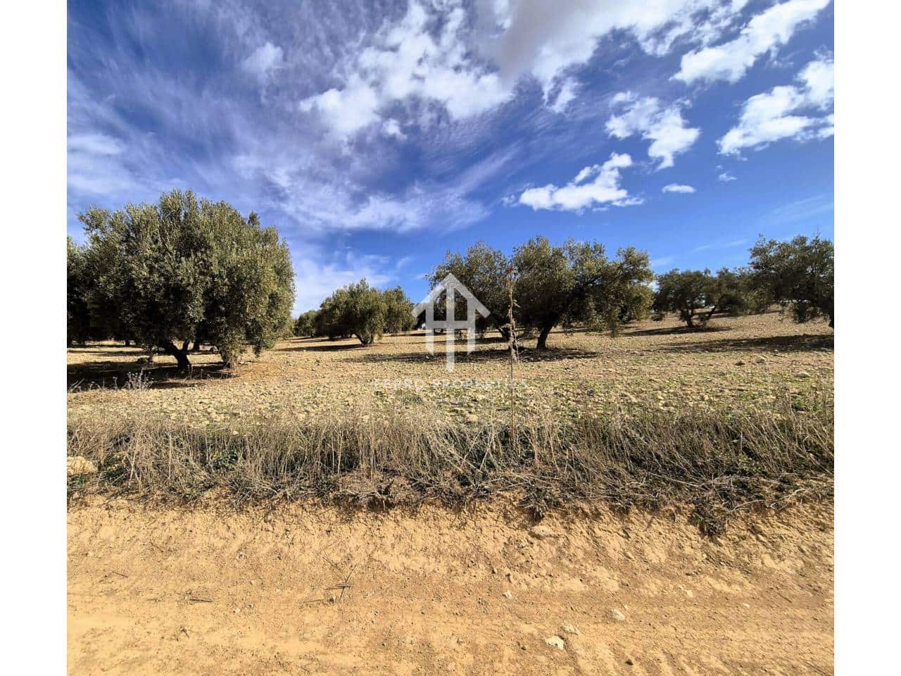 Finca/Landehus til salg i Castillo Tajarja - € 4.200.000 (Ref: 9152578)