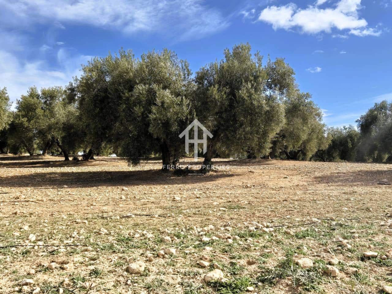 Finca/Landehus til salg i Castillo Tajarja - € 4.200.000 (Ref: 9152578)