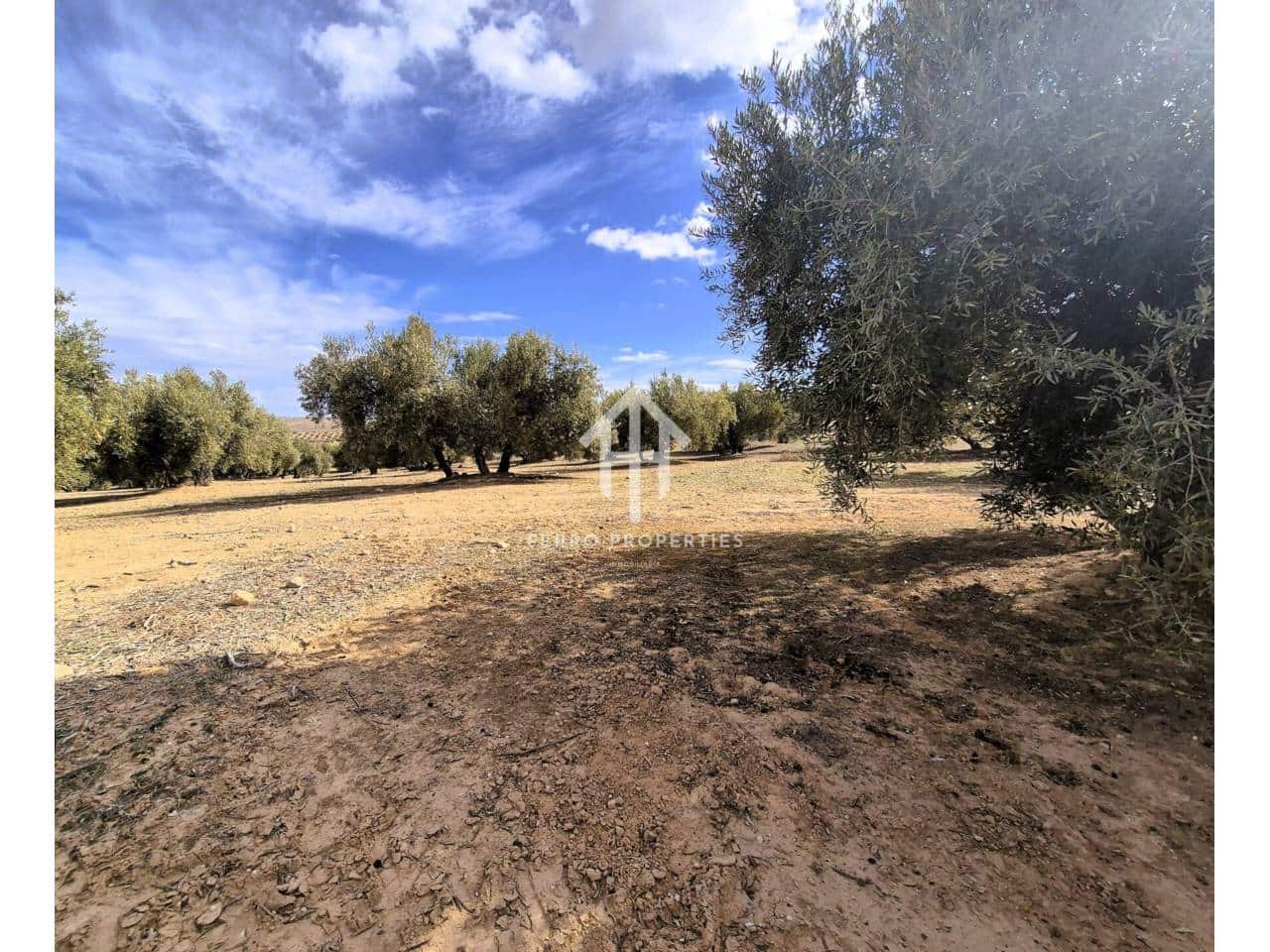 Finca/Landehus til salg i Castillo Tajarja - € 4.200.000 (Ref: 9152578)