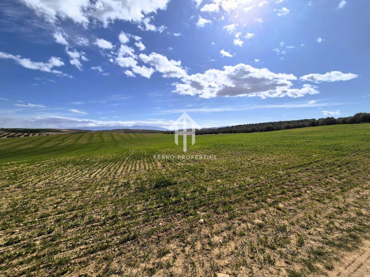 Finca/Landehus til salg i Castillo Tajarja - € 4.200.000 (Ref: 9152578)