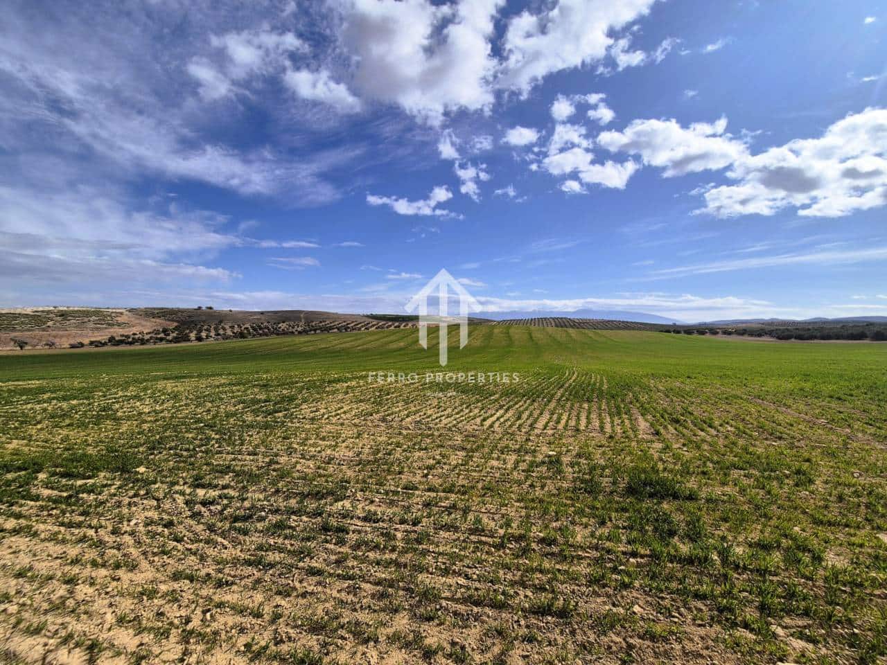 Finca/Landehus til salg i Castillo Tajarja - € 4.200.000 (Ref: 9152578)