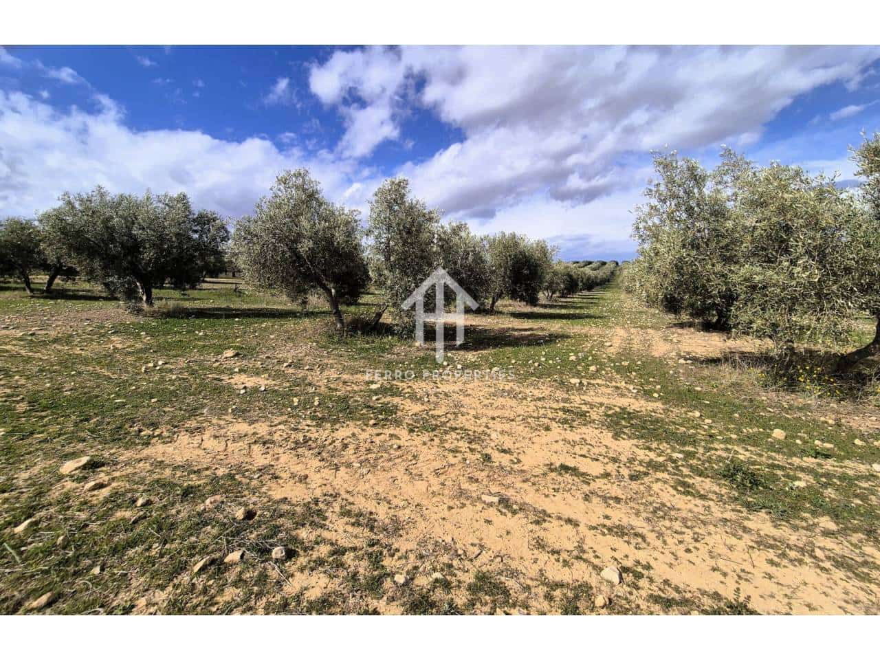 Finca/Landehus til salg i Castillo Tajarja - € 4.200.000 (Ref: 9152578)