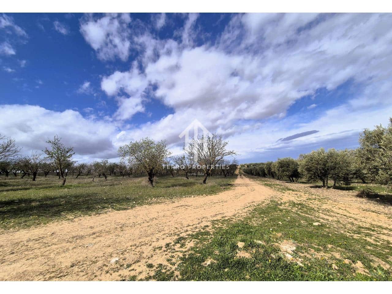 Finca/Landehus til salg i Castillo Tajarja - € 4.200.000 (Ref: 9152578)