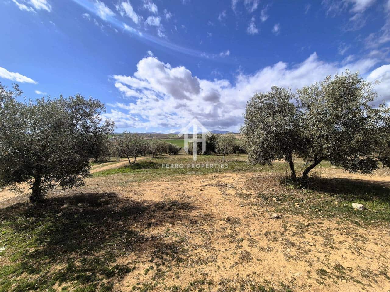 Finca/Landehus til salg i Castillo Tajarja - € 4.200.000 (Ref: 9152578)