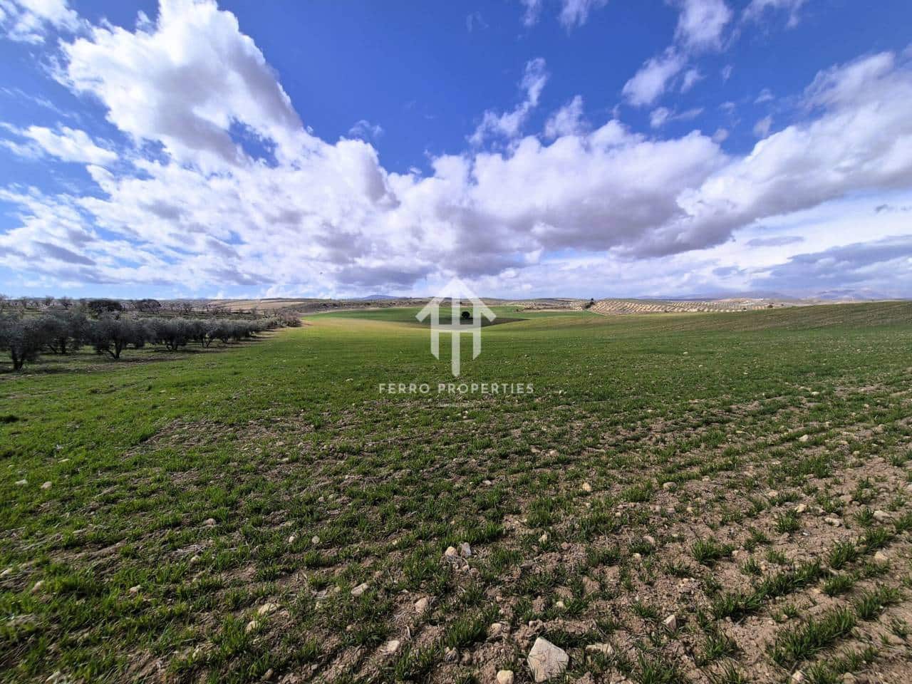 Finca/Landehus til salg i Castillo Tajarja - € 4.200.000 (Ref: 9152578)