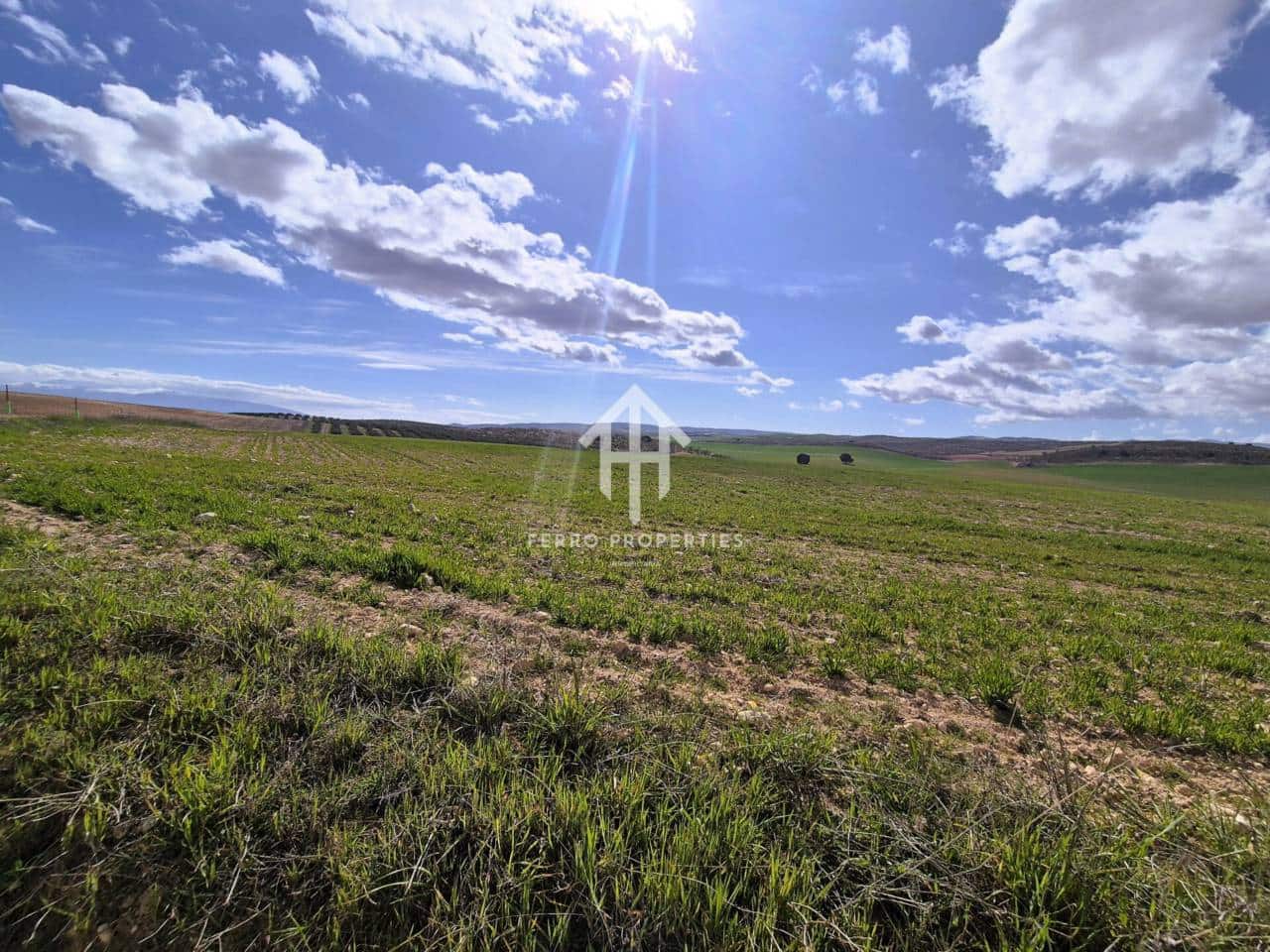 Finca/Landehus til salg i Castillo Tajarja - € 4.200.000 (Ref: 9152578)