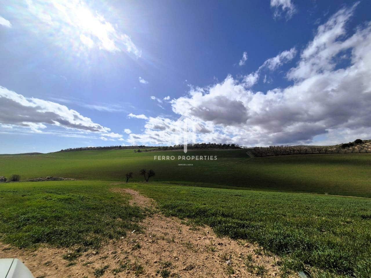 Finca/Landehus til salg i Castillo Tajarja - € 4.200.000 (Ref: 9152578)