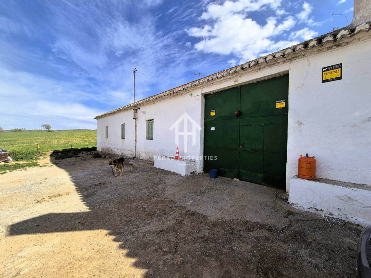 Finca/Landehus til salg i Castillo Tajarja - € 4.200.000 (Ref: 9152578)